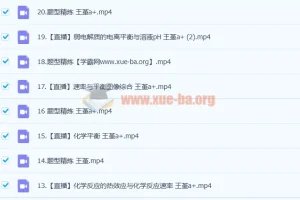 2023高考化学王嫤A+一轮复习课程（含暑假班、秋季班22讲）