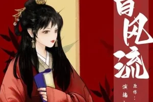 有声小说《曾风流》209集多人有声剧完结