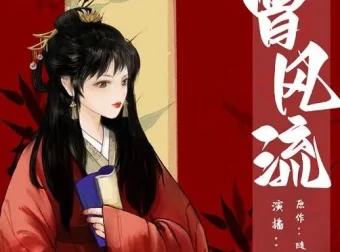 有声小说《曾风流》209集多人有声剧完结