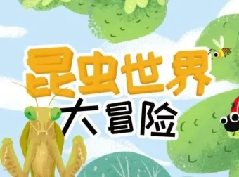儿童睡前故事《昆虫世界大冒险》21集