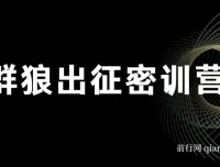 杀破狼群狼出征密训营