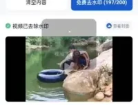 【SEO优化】视频号去重技术教程：月入过万秘籍，打造原创内容