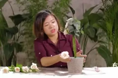 20节插花视频教程：解锁花艺技巧与生活美学