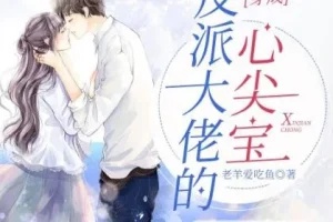 有声小说《穿成反派大佬的心尖宝》多人有声剧1264集完结