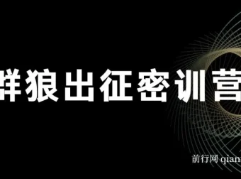 杀破狼群狼出征密训营