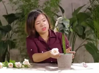 20节插花视频教程：解锁花艺技巧与生活美学