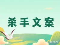 《杀手文案》：108封大师手抄赚钱信，掌握月入百万的文案密码