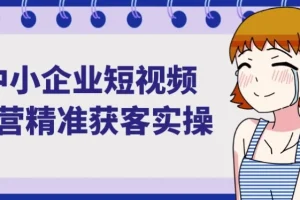 中小企业短视频运营精准获客实操课程