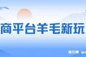 电商平台羊毛新玩法课程：可全天操作，简单上手