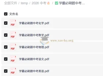 中考学霸必刷题