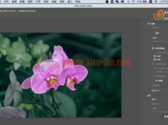 兰花摄影与后期技法课程 主讲：朱建华老师