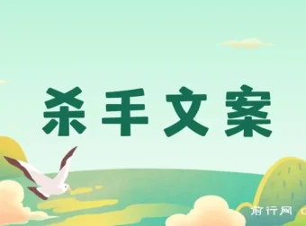 《杀手文案》：108封大师手抄赚钱信，掌握月入百万的文案密码