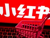 小红书电商实战方法：从小白到精英的保姆级教程