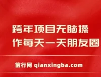 跨年项目：发朋友圈轻松日入200+