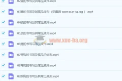 王慧志硬笔书法私房课程100节
