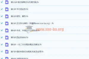 徐德直初二数学暑期目标班10讲课程