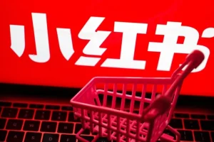 小红书电商实战方法：从小白到精英的保姆级教程