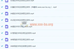 王慧志硬笔书法私房课程100节
