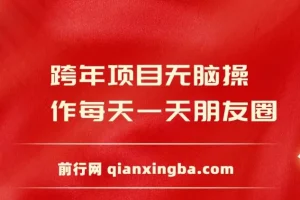 跨年项目：发朋友圈轻松日入200+