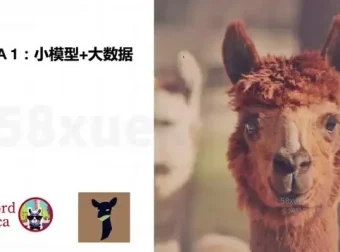 《AI大模型微调实战：8周掌握前沿技术，深度应用开发指南》