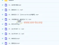 树成林高考物理冲刺课22讲