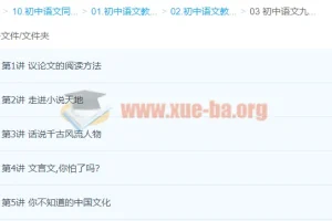 赵成程初中语文九年级课程