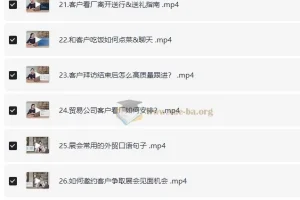 外贸全能商务英语课：学完轻松谈生意、拿订单