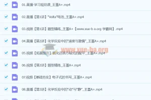 2024高一化学王瑾寒假班课程