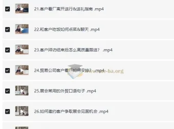 外贸全能商务英语课：学完轻松谈生意、拿订单