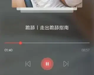 《恋爱学理学：从吸引力构建到高价值展示的恋爱全攻略》