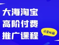 大海淘宝高阶付费推广课程