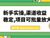 新手实操：单号日入500+，稳定收益可批量放大的互联网项目