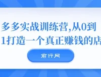 多多实战训练营：从0到1打造真正赚钱的店铺