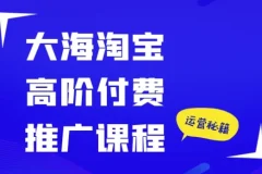大海淘宝高阶付费推广课程