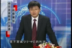 刘国东中小企业纳税筹划12讲：税务实操一点通