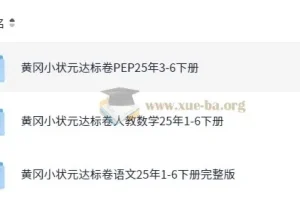 2025春小学黄冈小状元达标卷·人教版（语数英）