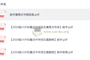 小学数学小升初真题卷与重难点练习卷