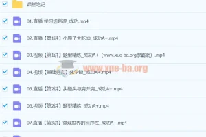 2024高二化学成功A+寒假班