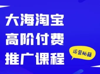 大海淘宝高阶付费推广课程
