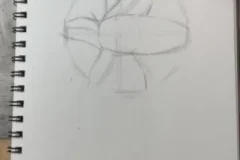 阿妹老师零基础绘画课：动漫、素描与艺术创作三合一