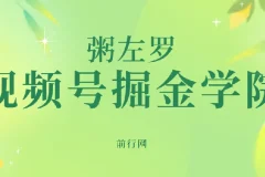 粥左罗·视频号掘金学院