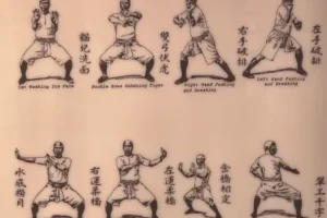 【非市面流通】《国术大全》+《打拳谱》清木刻版 罕见珍藏本