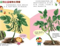 儿童健康科普绘本《豆豆食物》PPT