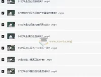 杨宁老师的文学启示课