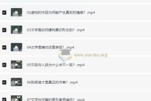 杨宁老师的文学启示课