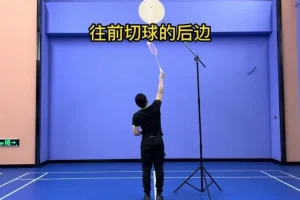 羽毛球进阶教程：124节高吊杀与网前技术系统特训课程
