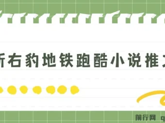 右豹地铁跑酷小说推文变现项目，实现日入2000+