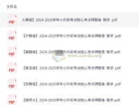 2024 – 2025学年小升初考试核心考点押题卷