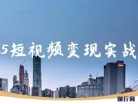 【精】杨磊老师视频号0-1变现实战课：AI爆款脚本+四大变现，普通人30天月入5000+