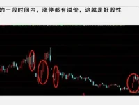 大柚子笔记：2024年4月盘面深度专属解读